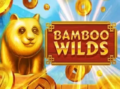 7D Bet screenshot